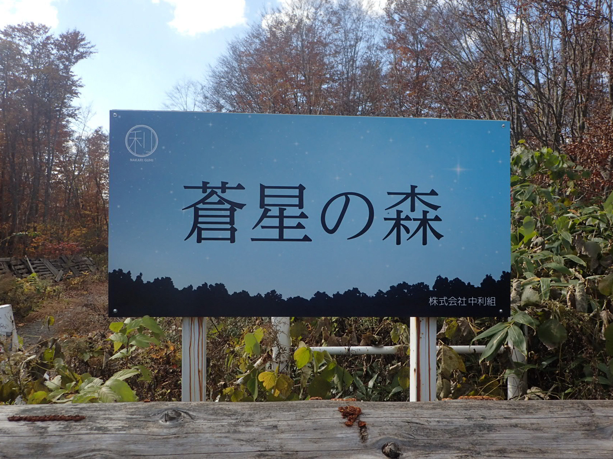 サンプルイメージ